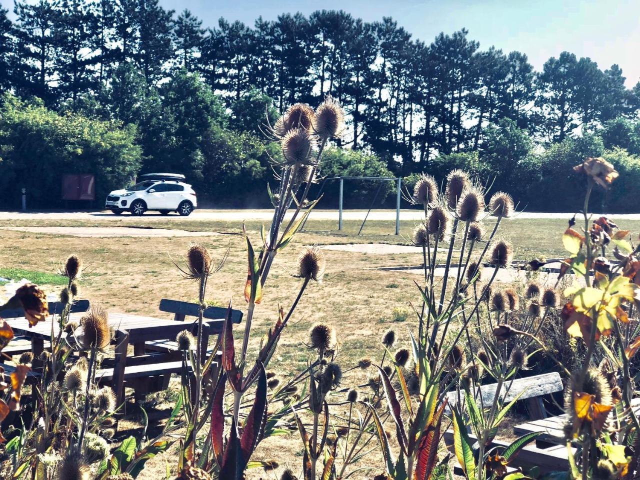 Danhostel Ishoj Strand ภายนอก รูปภาพ